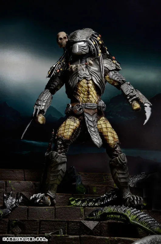 Predator - 7inch Action Figure Series 14 AVP Alien VS. Predator 3Type Setㅤ – NECA – ActionFigureBrasil