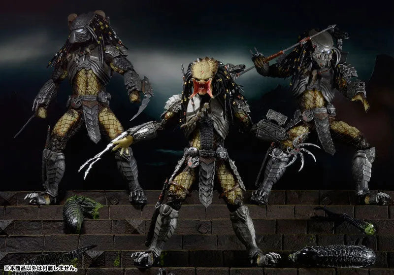 Predator - 7inch Action Figure Series 14 AVP Alien VS. Predator 3Type Setㅤ – NECA – ActionFigureBrasil