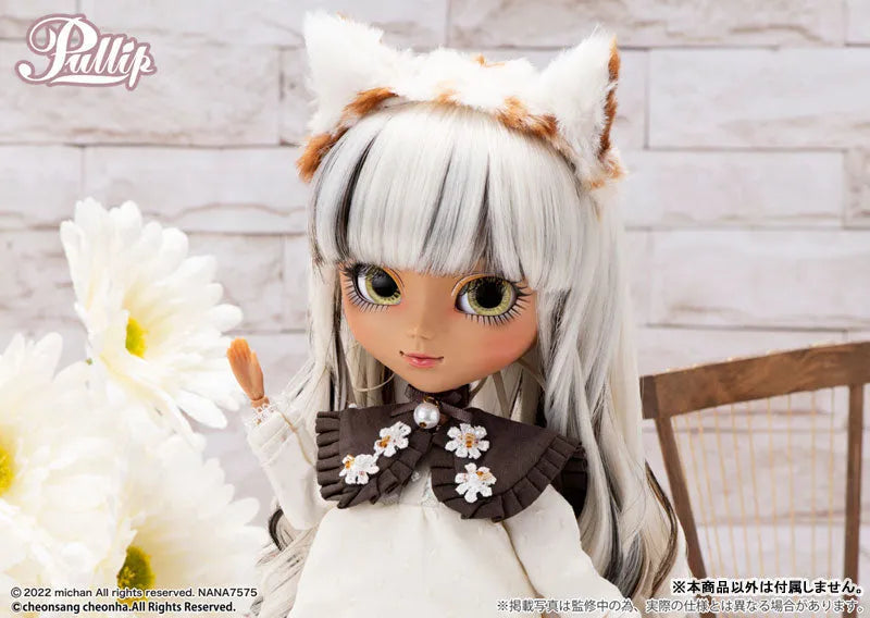 Pullip Nana-chan/Calico ver.ㅤ – Groove – ActionFigureBrasil