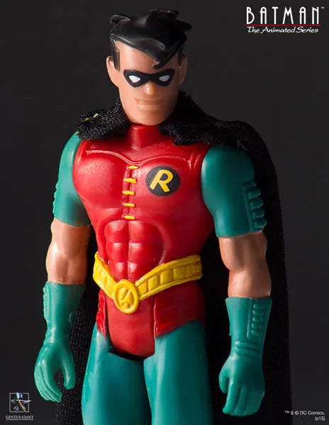 Retro Kenner 12inch Action Figure - Batman: The Animated Series Robinㅤ – Puella Magi Madoka Magica – ActionFigureBrasil