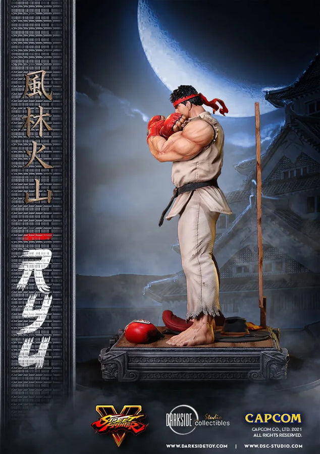 Ryu - LIMITED EDITION: 150 – DarkSide Collectibles Studio – ActionFigure Brasil
