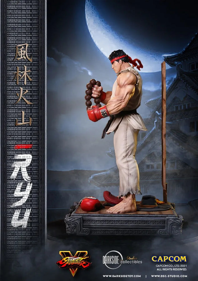 Ryu - LIMITED EDITION: 150 – DarkSide Collectibles Studio – ActionFigure Brasil