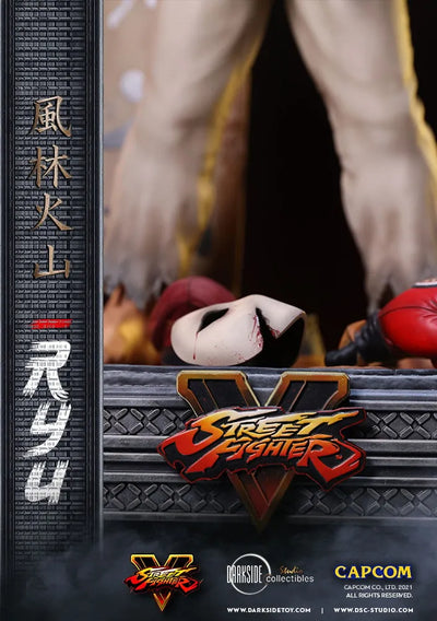 Ryu - LIMITED EDITION: 150 – DarkSide Collectibles Studio – ActionFigure Brasil — embalagem