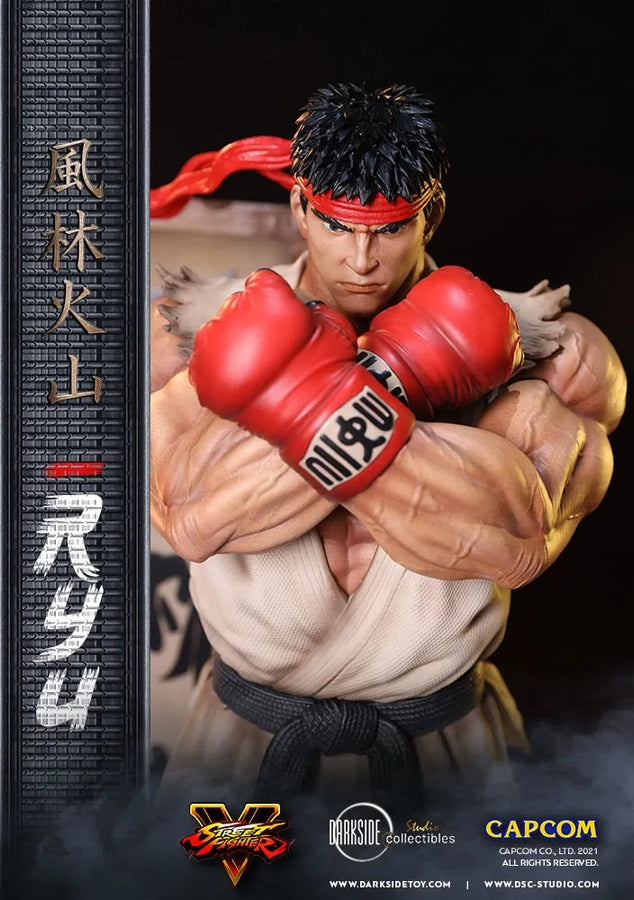 Ryu - LIMITED EDITION: 150 – DarkSide Collectibles Studio – ActionFigure Brasil