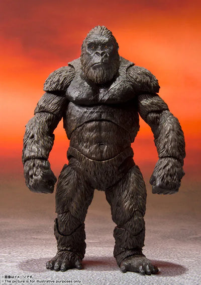 S.H.MonsterArts KONG from Movie "GODZILLA VS. KONG" (2021) (Name)ㅤ – Bandai Spirits – ActionFigureBrasil