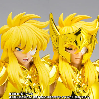 Saint Seiya - Aquarius Hyoga - Myth Cloth EX - Inheritor of the Gold Cloth (Bandai Spirits) [Shop Exclusive]ㅤ – Bandai Spirits – ActionFigureBrasil — acessórios