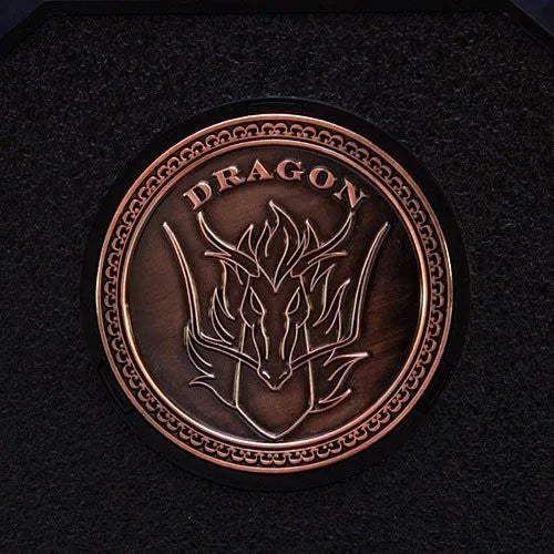 Saint Seiya - Dragon Shiryu - ES Alloy (Fewture)ㅤ – Fewture – ActionFigureBrasil