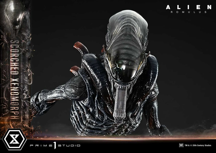 Scorched Xenomorph (Regular Version) Alien: Romulus – Prime1Studio – ActionFigure Brasil