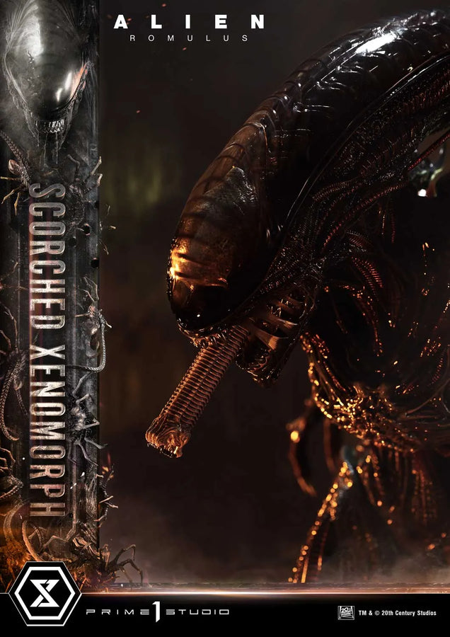 Scorched Xenomorph (Regular Version) Alien: Romulus – Prime1Studio – ActionFigure Brasil