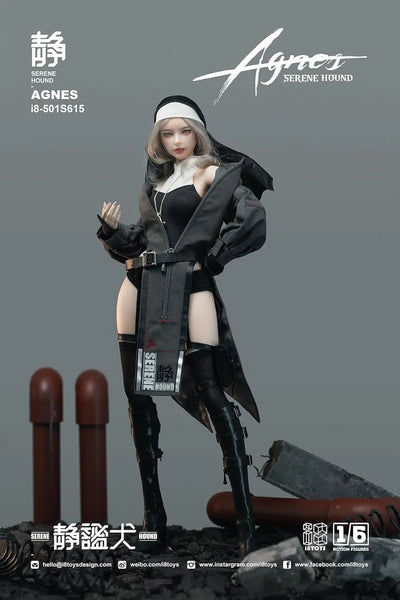 SERENE HOUND - AGNES - 1/6 (i8TOYS)ㅤ – i8TOYS – ActionFigureBrasil — embalagem