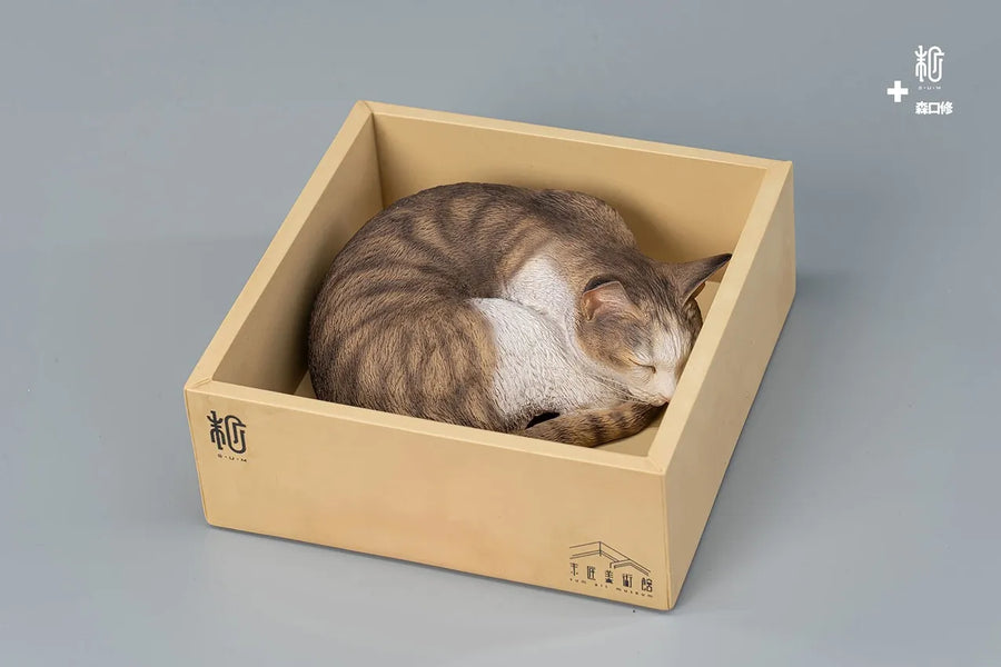 Sleeping Tabby Cat – Manas SUM – ActionFigure Brasil