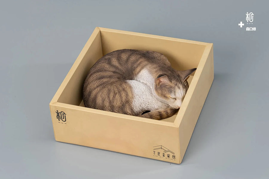Sleeping Tabby Cat – Manas SUM – ActionFigure Brasil