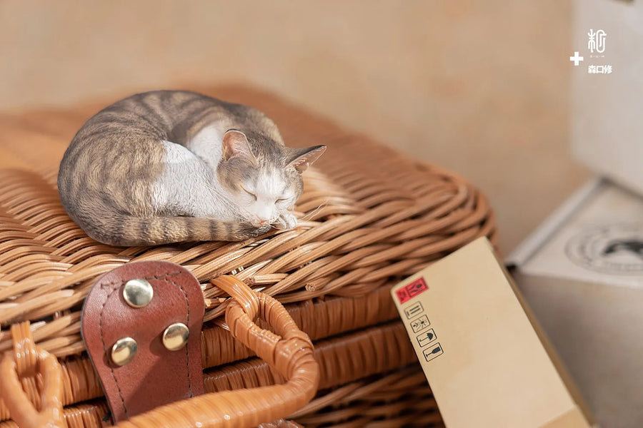 Sleeping Tabby Cat – Manas SUM – ActionFigure Brasil