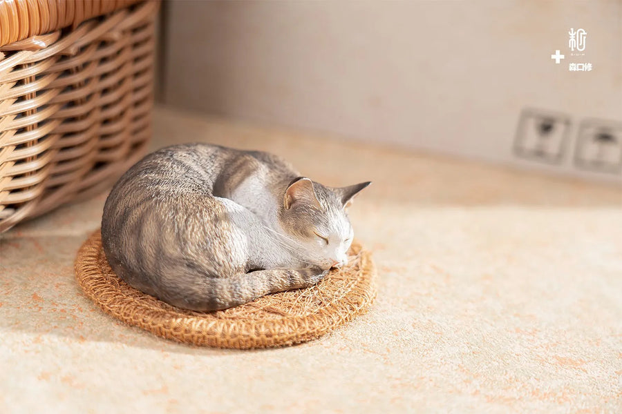 Sleeping Tabby Cat – Manas SUM – ActionFigure Brasil