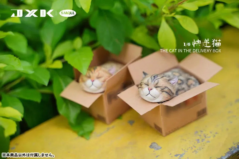 Small Cat in the Cardboard Box Bㅤ – JXK Studio – ActionFigureBrasil