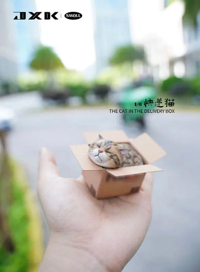 Small Cat in the Cardboard Box Bㅤ – JXK Studio – ActionFigureBrasil — close