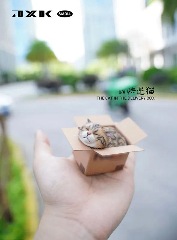 Small Cat in the Cardboard Box Bㅤ – JXK Studio – ActionFigureBrasil