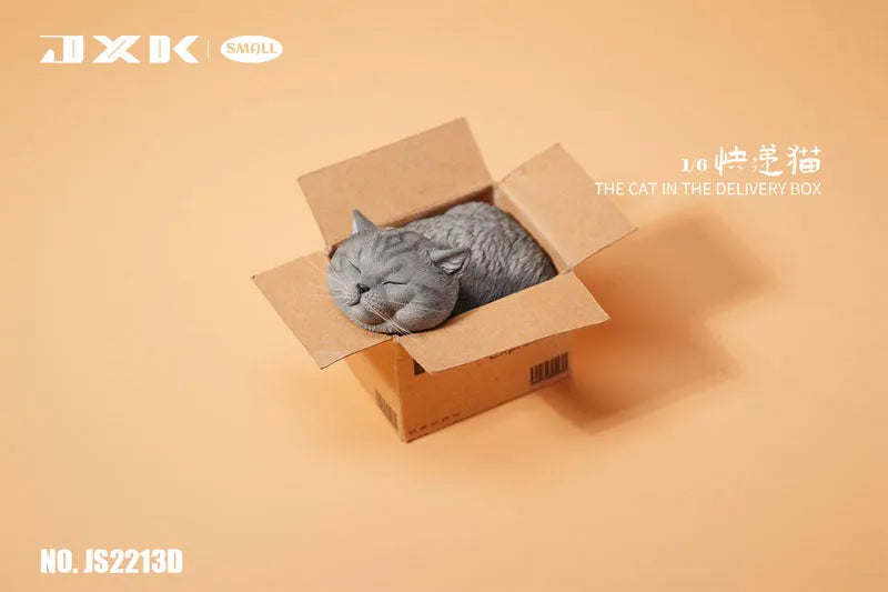 Small Cat in the Cardboard Box Dㅤ – JXK Studio – ActionFigureBrasil