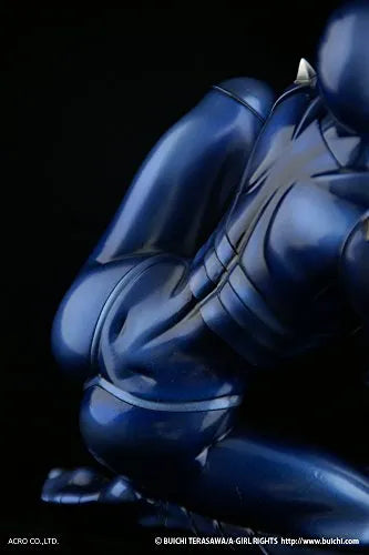 Space Adventure Cobra - Armaroid Lady - 1/6 (Dunk, Acro)ㅤ – Acro – ActionFigureBrasil