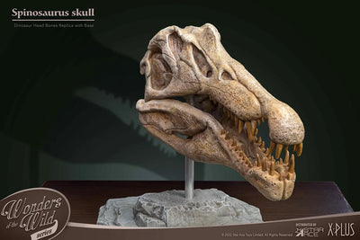 Spinosaurus Head Skull – Star Ace Toys Ltd. – ActionFigure Brasil — acessórios