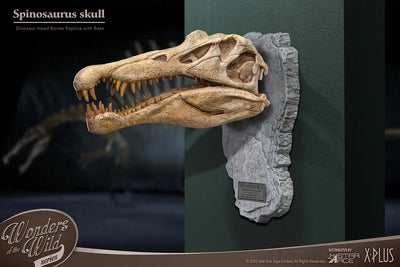 Spinosaurus Head Skull – Star Ace Toys Ltd. – ActionFigure Brasil — com base expositora