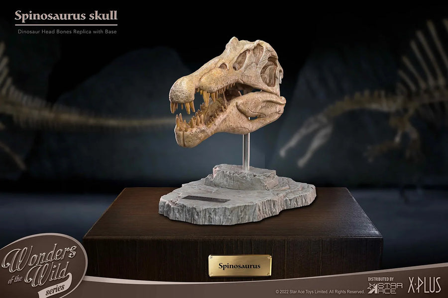 Spinosaurus Head Skull – Star Ace Toys Ltd. – ActionFigure Brasil