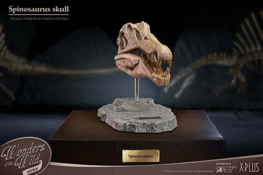 Spinosaurus Head Skull – Star Ace Toys Ltd. – ActionFigure Brasil