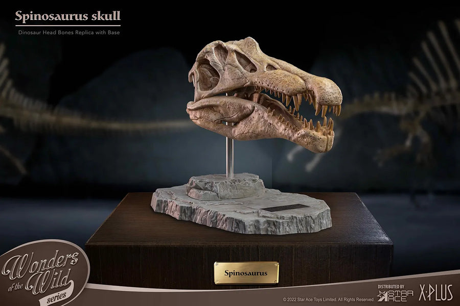 Spinosaurus Head Skull – Star Ace Toys Ltd. – ActionFigure Brasil