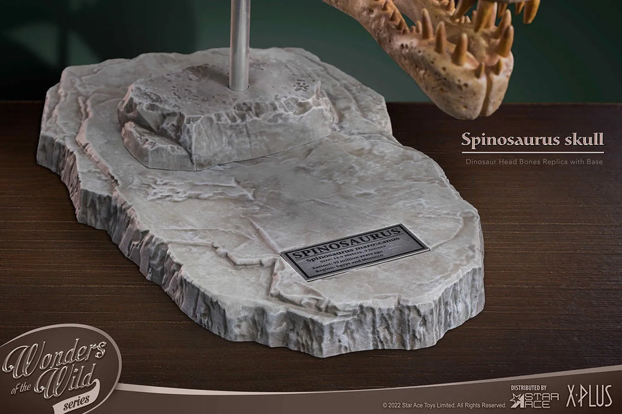 Spinosaurus Head Skull – Star Ace Toys Ltd. – ActionFigure Brasil