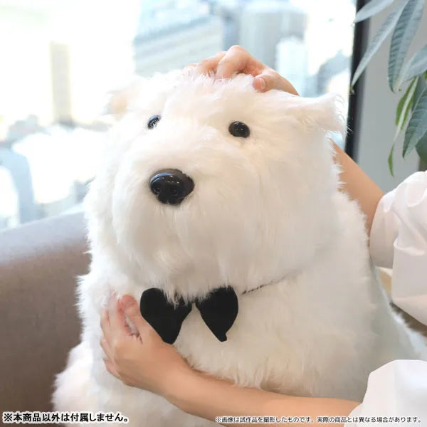 Spy × Family - Bond - Plush (Movic)ㅤ – Movic – ActionFigureBrasil