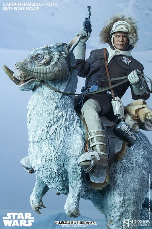 Star Wars 1/6 Scale Figure - Heroes of Rebellion: Han Solo (Hoth Version)ㅤ – Sideshow Collectibles – ActionFigureBrasil
