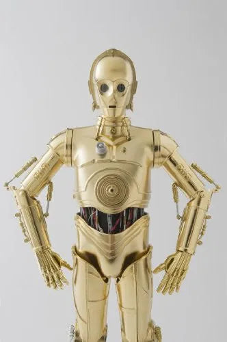 Star Wars - C-3PO - 12 Perfect Model - Chogokin - 1/6 (Bandai, Sideshow Collectibles)ㅤ – Bandai – ActionFigureBrasil