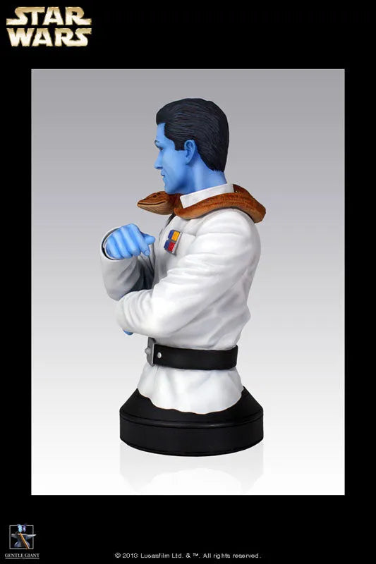 Star Wars - Mini Bust: Grand Admiral Thrawnㅤ – Puella Magi Madoka Magica – ActionFigureBrasil