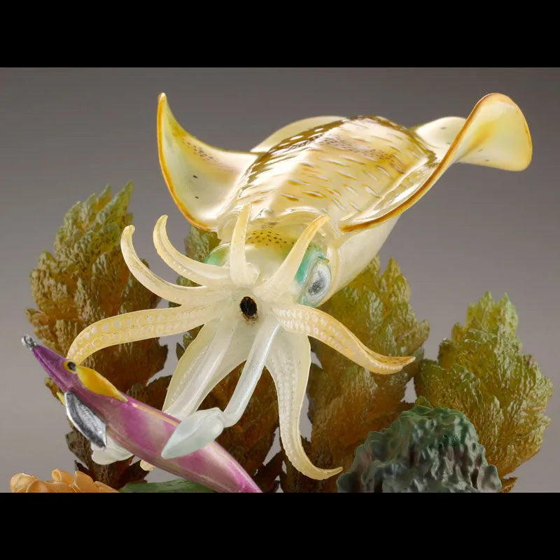 STRIKE FANTASY Bigfin Reef Squidㅤ – Kaiyodo – ActionFigureBrasil