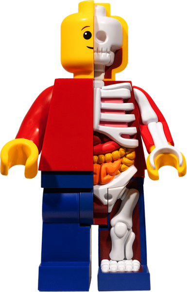 Supersized Micro Anatomic (Junior) – Mighty Jaxx – ActionFigure Brasil