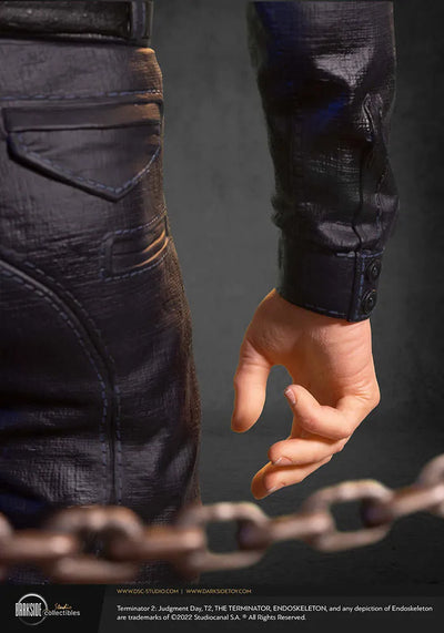 T-1000 - LIMITED EDITION: 350 – DarkSide Collectibles Studio – ActionFigure Brasil — embalagem