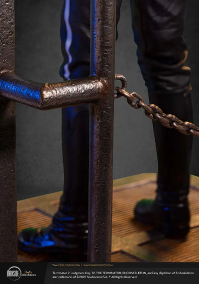 T-1000 - LIMITED EDITION: 350 – DarkSide Collectibles Studio – ActionFigure Brasil — acessórios