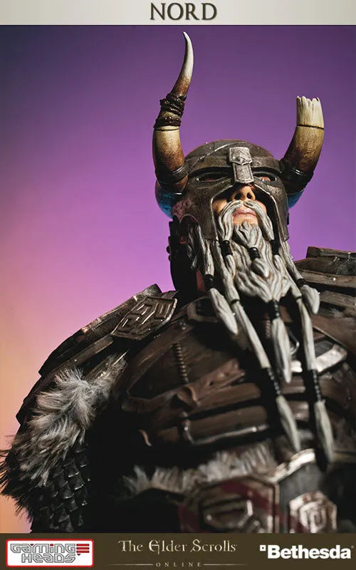 The Elder Scrolls Online - Nord 1/6 Statueㅤ – Puella Magi Madoka Magica – ActionFigureBrasil