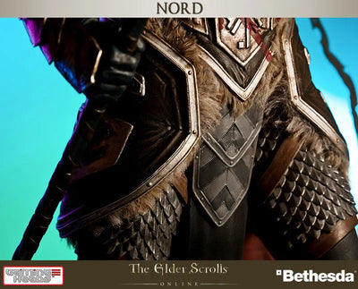The Elder Scrolls Online - Nord 1/6 Statueㅤ – Puella Magi Madoka Magica – ActionFigureBrasil — iluminação de estúdio