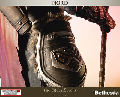 The Elder Scrolls Online - Nord 1/6 Statueㅤ – Puella Magi Madoka Magica – ActionFigureBrasil — detalhe do produto