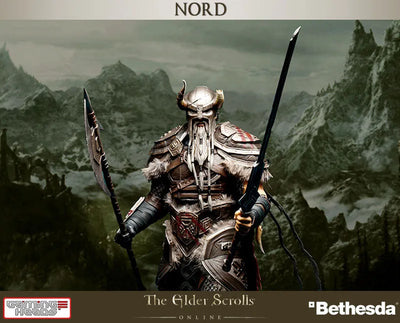 The Elder Scrolls Online - Nord 1/6 Statueㅤ – Puella Magi Madoka Magica – ActionFigureBrasil — acessórios
