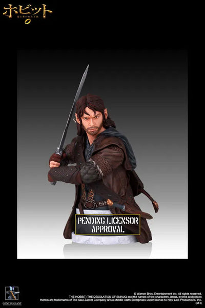 "The Hobbit: The Desolation of Smaug" Mini Bust Kiliㅤ – Puella Magi Madoka Magica – ActionFigureBrasil — ângulo diferente