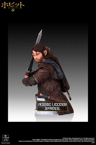 "The Hobbit: The Desolation of Smaug" Mini Bust Kiliㅤ – Puella Magi Madoka Magica – ActionFigureBrasil — detalhe do produto