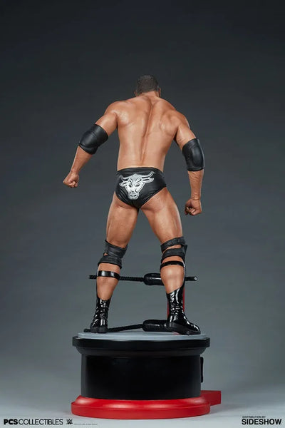 The Rock - LIMITED EDITION: 600 – PCS – ActionFigure Brasil — acessórios