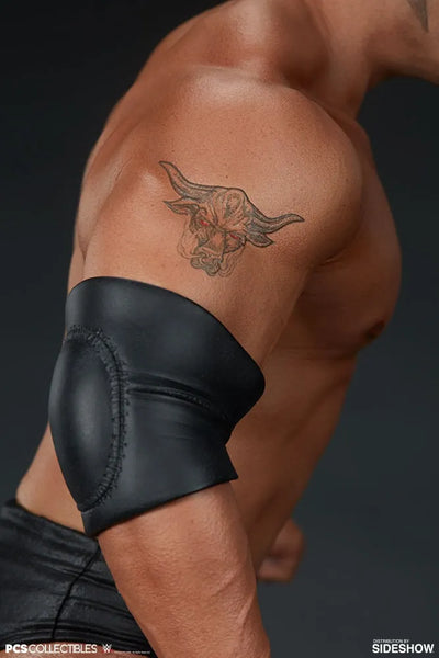 The Rock - LIMITED EDITION: 600 – PCS – ActionFigure Brasil — acessórios