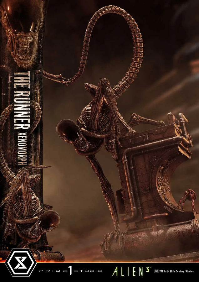 THE RUNNER XENOMORPH (Deluxe Bonus Version) Alien 3 (Film) – Prime1Studio – ActionFigure Brasil