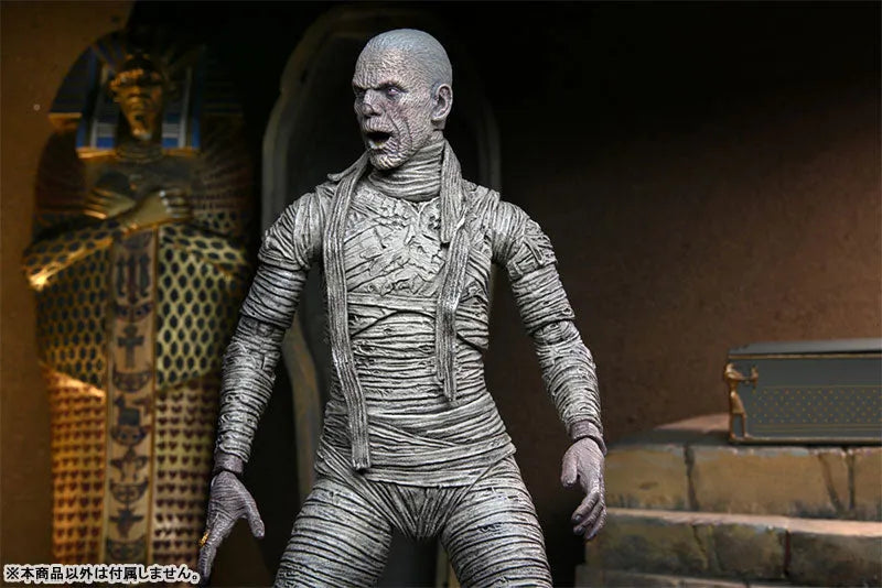 Universal Monster / The Mummy: Imhotep 7 Inch Action Figure Color verㅤ – NECA – ActionFigureBrasil