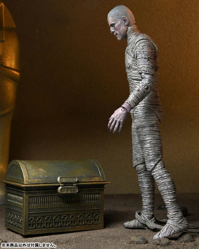 Universal Monster / The Mummy The Mummy: 7 Inch Action Figure Accessory Packㅤ – NECA – ActionFigureBrasil