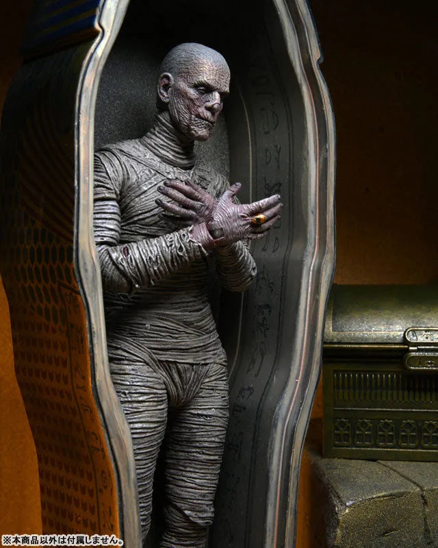 Universal Monster / The Mummy The Mummy: 7 Inch Action Figure Accessory Packㅤ – NECA – ActionFigureBrasil
