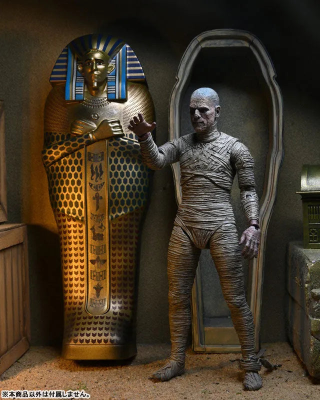 Universal Monster / The Mummy The Mummy: 7 Inch Action Figure Accessory Packㅤ – NECA – ActionFigureBrasil